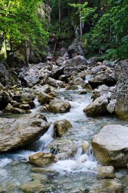 Neuschwanstein Şatosu, Bavyera Almanya.