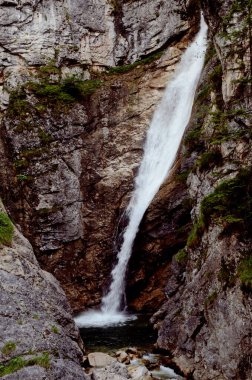Neuschwanstein Şatosu, Bavyera Almanya.
