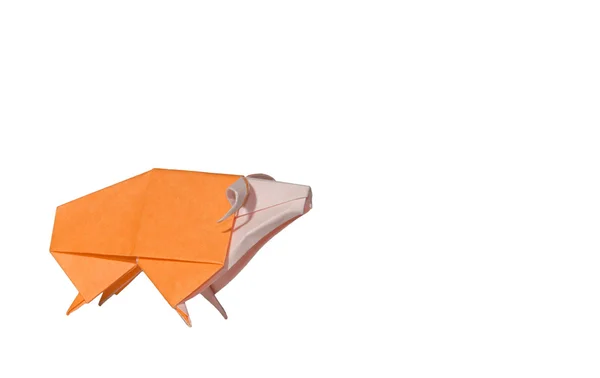 Orange Origami Sheep isolated on white — Stock Photo, Image