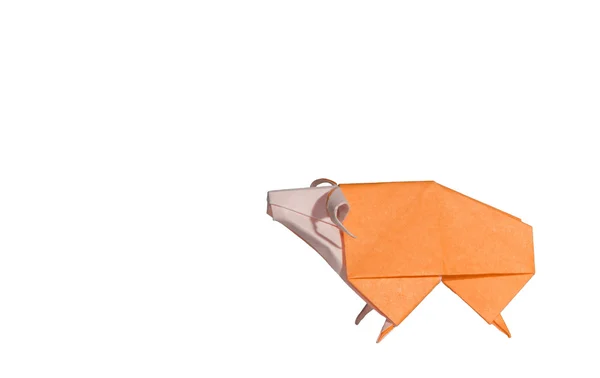 Orange Origami Mouton isolé sur blanc — Photo