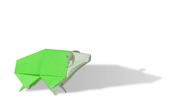 Green Origami Sheep isolated on white — Stock Photo, Image