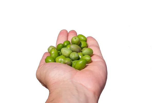 Handful of green olives isolated on white — Stok Foto