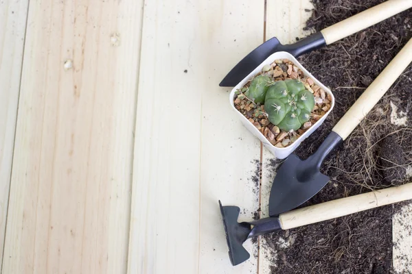Bahçecilik aletleri ve kaktüs metin için yer ile ahşap arka plan üzerinde. Cacus için seçici odak