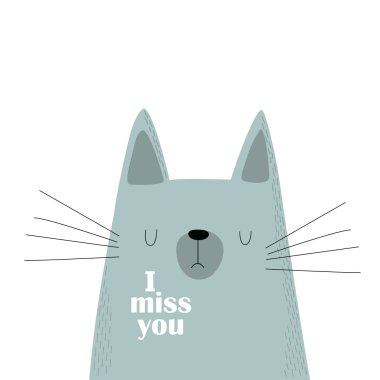 gray cat, 