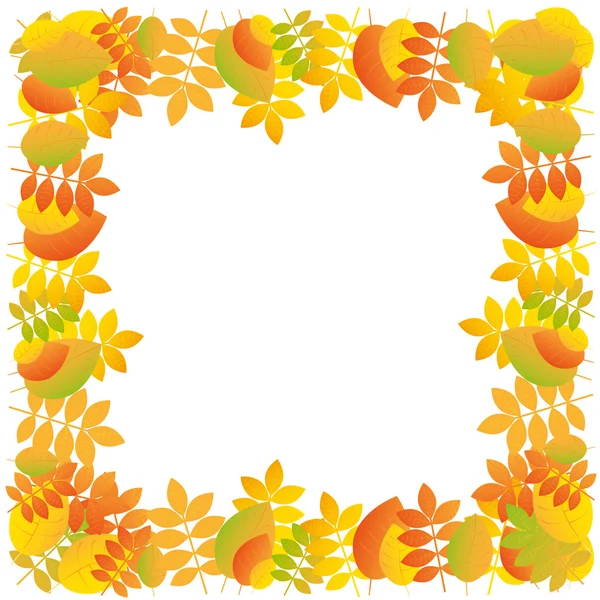 Autumn leaves frame on white background — Stock Vector