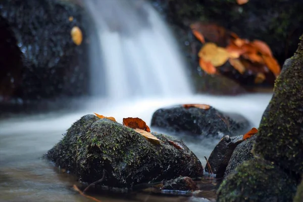 Liten Vattenfall Bakgrund Skogen Höstsäsongen — Stockfoto