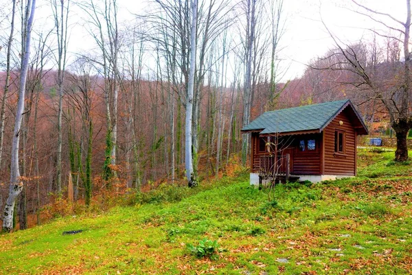 森の中の秋の古い木造住宅 — ストック写真