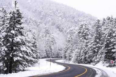 Karlı, dolambaçlı dağ yolları ve kışın ormandaki karla kaplı ağaçlar.