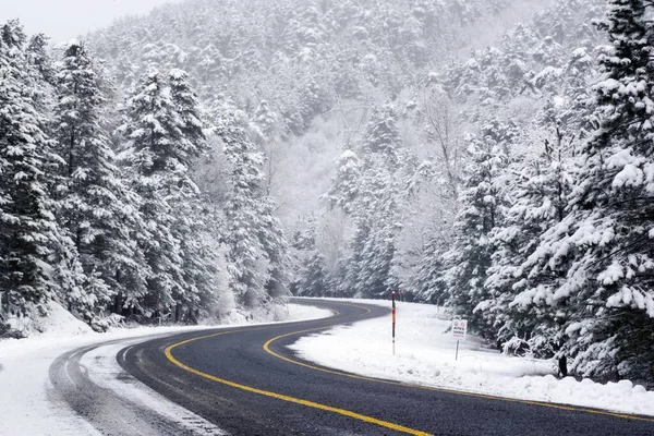 Snowy Winding Mountain Roads Snow Covered Trees Forest Winter — Stock Photo, Image