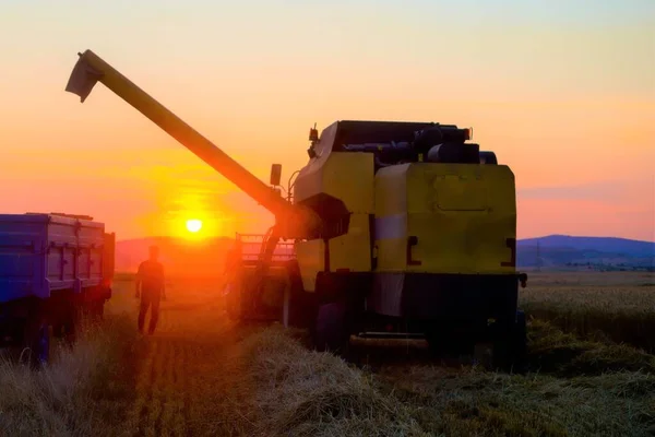日落时在田间工作的联合收割机背景 — 图库照片