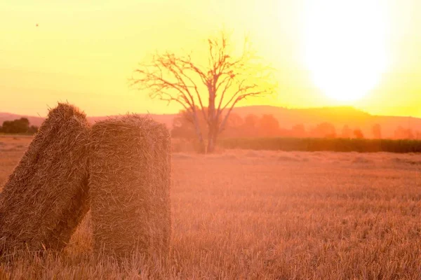 Zonsondergang Achtergrond Een Veld Met Hooibalen — Stockfoto