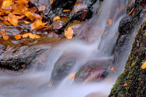 Detaljerade Närbilder Bäck Och Vattenfall Som Rinner Genom Skogen Höstsäsongen — Stockfoto