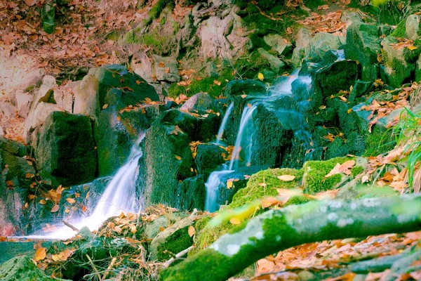 Close Ups Detalhados Córrego Cachoeira Fluindo Através Floresta Temporada Outono — Fotografia de Stock