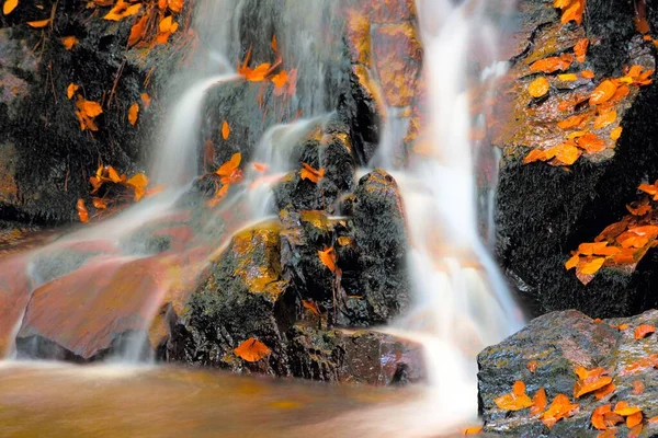 Dettagliati Primi Piani Ruscello Una Cascata Che Scorrono Nella Foresta — Foto Stock