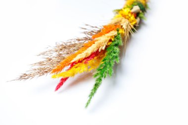 beyaz arkaplanda yalıtılmış bahar çiçekleri