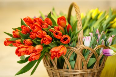 Bahar Lale ahşap sepeti