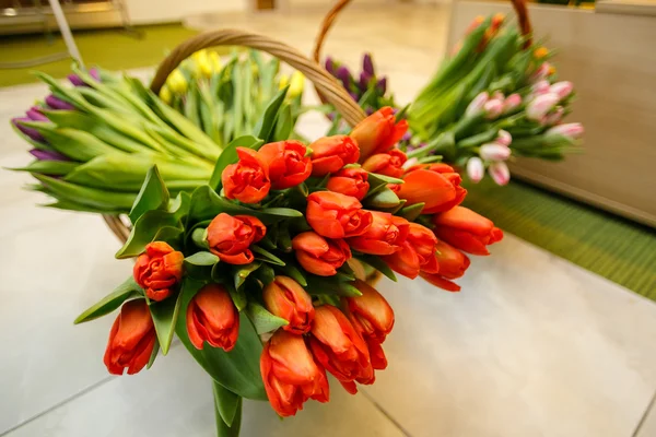 Frühling-Tulpen in Holz Korb — Stockfoto