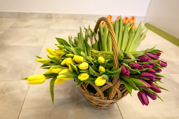 Tulipany wiosna w drewniany kosz — Zdjęcie stockowe