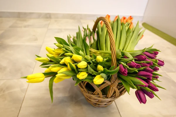 Frühling-Tulpen in Holz Korb — Stockfoto