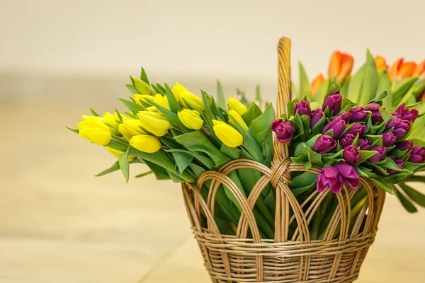 Frühling-Tulpen in Holz Korb — Stockfoto