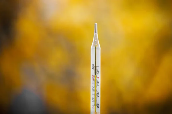 Termómetro Mercurio Sobre Fondo Otoñal Temperatura Normal Una Persona Sana — Foto de Stock