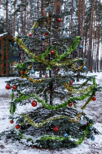 Árvore Natal Natural Inverno Decorações Para Natal — Fotografia de Stock