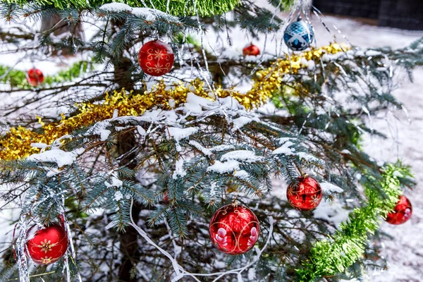 Натуральна Ялинка Взимку Прикраси Різдво — стокове фото