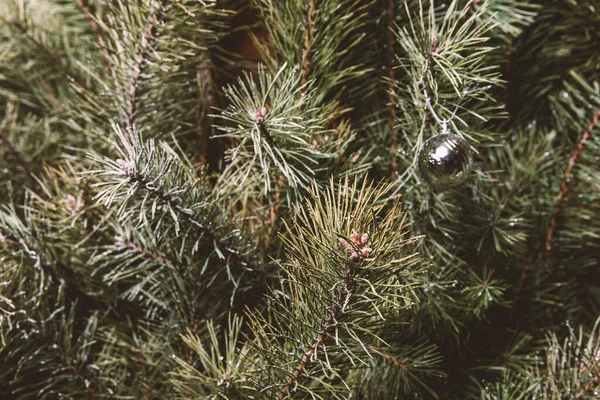 Jehly Vánoční Stromeček Minimalistické Dekorace — Stock fotografie
