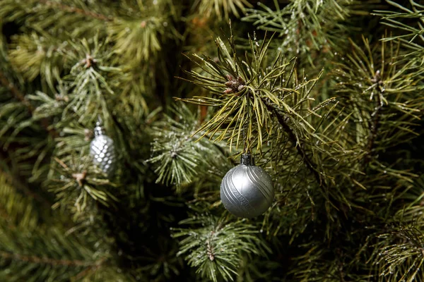 Christmas Tree Needles Minimalistic Decorations — Stock Photo, Image