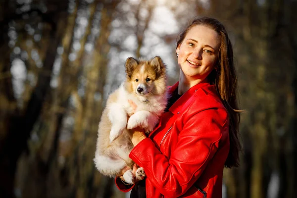 Menina Feliz Com Filhote Cachorro Sheltie Parque — Fotografia de Stock