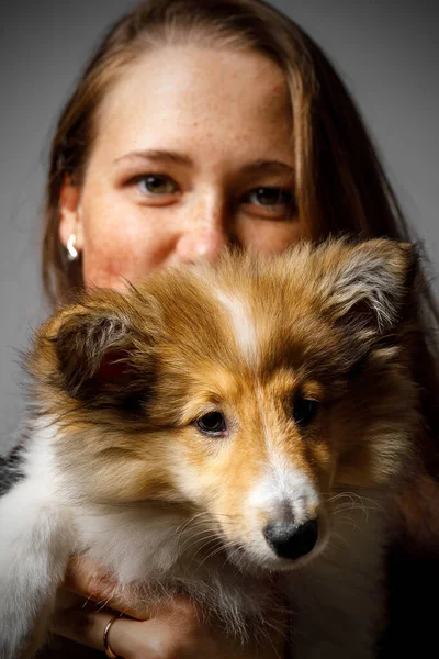 Retrato Menina Feliz Com Filhote Cachorro Sheltie — Fotografia de Stock