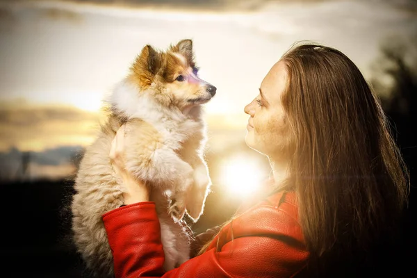 Menina Feliz Com Filhote Cachorro Sheltie Parque — Fotografia de Stock
