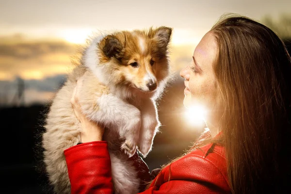 彼女の腕の中に犬と赤いジャケットの少女 日没時に公園を歩く — ストック写真