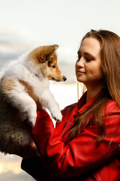 Menina Feliz Com Filhote Cachorro Sheltie Parque — Fotografia de Stock