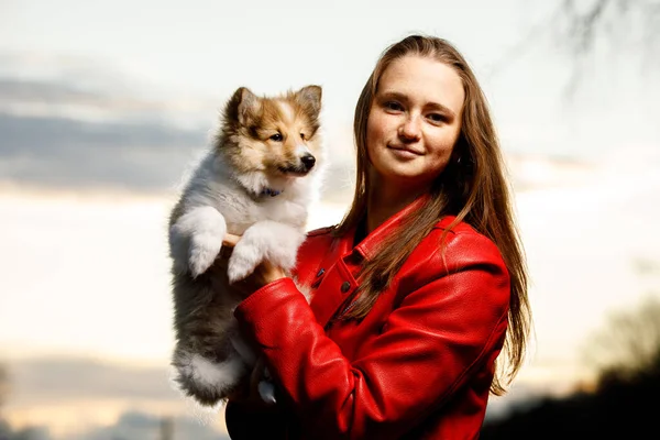 Chica Feliz Con Sheltie Cachorro Parque —  Fotos de Stock