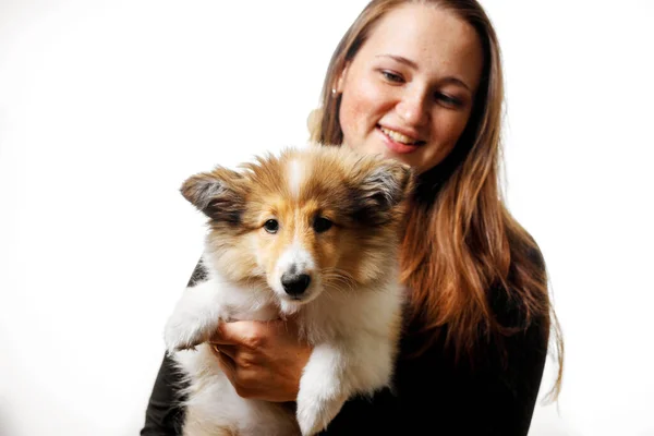 Menina Feliz Com Cachorro Sheltie — Fotografia de Stock