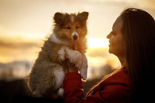 彼女の腕の中に犬と赤いジャケットの少女 日没時に公園を歩く — ストック写真