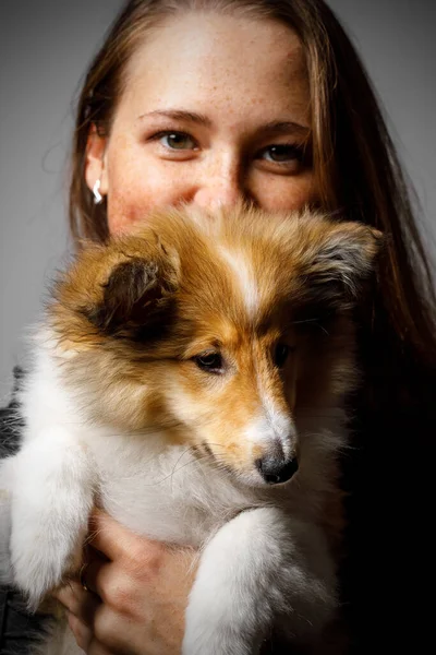 Miłość Między Właścicielem Psem Dziewczyna Sheltie Szczeniak — Zdjęcie stockowe