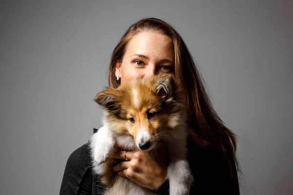 Retrato Menina Feliz Com Filhote Cachorro Sheltie — Fotografia de Stock