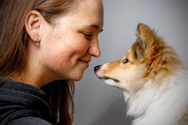 Menina Feliz Com Cachorro Sheltie — Fotografia de Stock