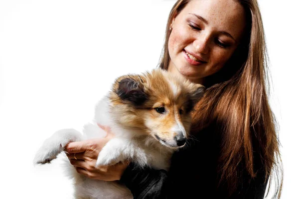 Amor Entre Dono Cão Menina Filhote Cachorro Sheltie — Fotografia de Stock