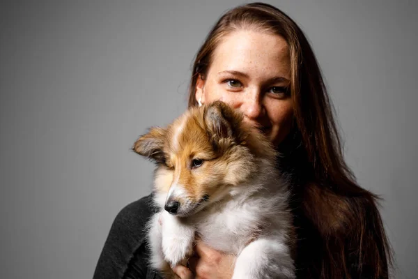 Amor Entre Dono Cão Menina Filhote Cachorro Sheltie — Fotografia de Stock