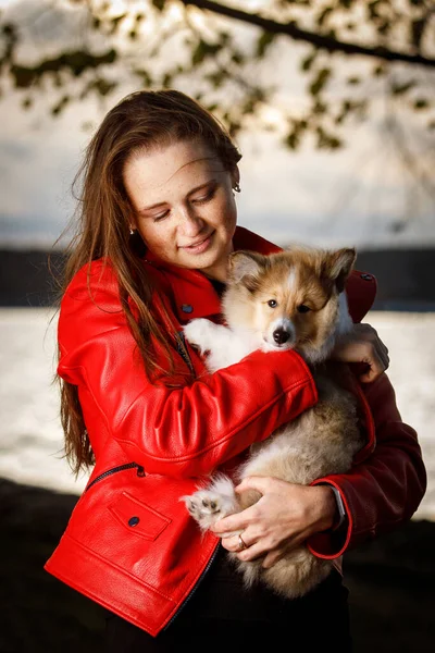 彼女の腕の中に犬と赤いジャケットの少女 日没時に公園を歩く — ストック写真