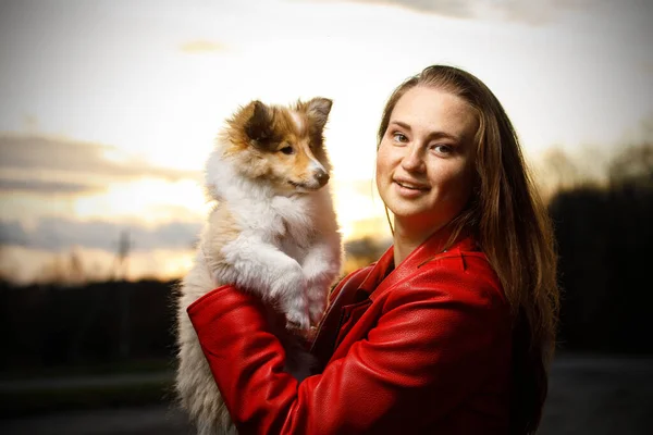 Szczęśliwa Dziewczyna Sheltie Szczeniak Parku — Zdjęcie stockowe