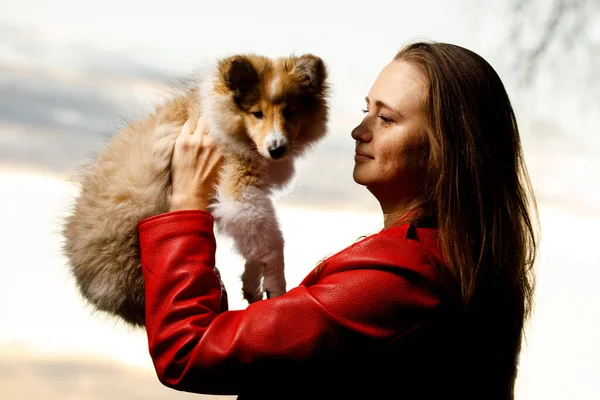 Szczęśliwa Dziewczyna Sheltie Szczeniak Parku — Zdjęcie stockowe