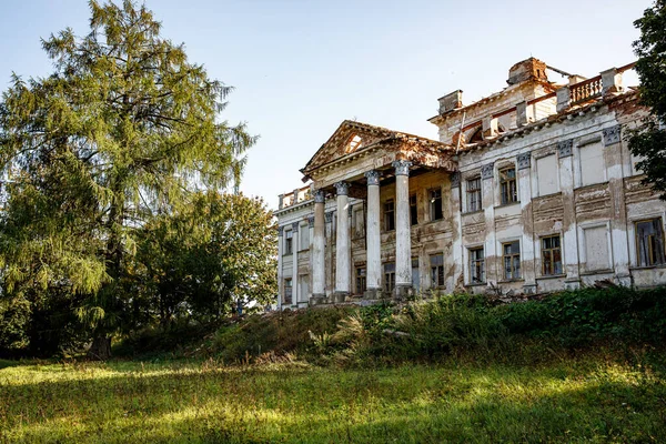 Old Abandoned Building Columns Nature — Foto Stock