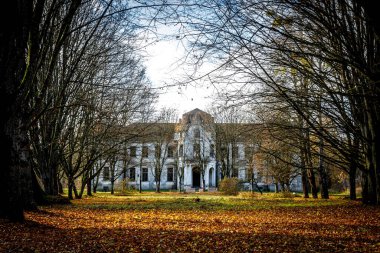 Eski terk edilmiş saray, sonbahar ormanındaki malikane.