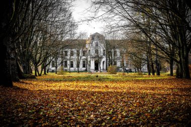 Eski terk edilmiş saray, sonbahar ormanındaki malikane.