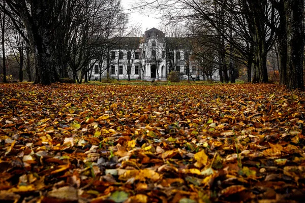 Old Abandoned Palace Manor Autumn Forest — Foto Stock