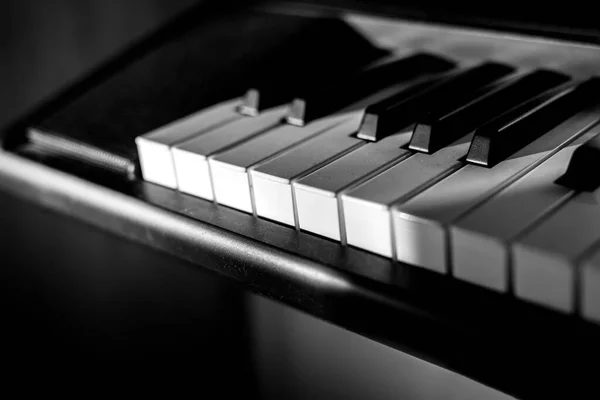 White and black keys on the piano keyboard